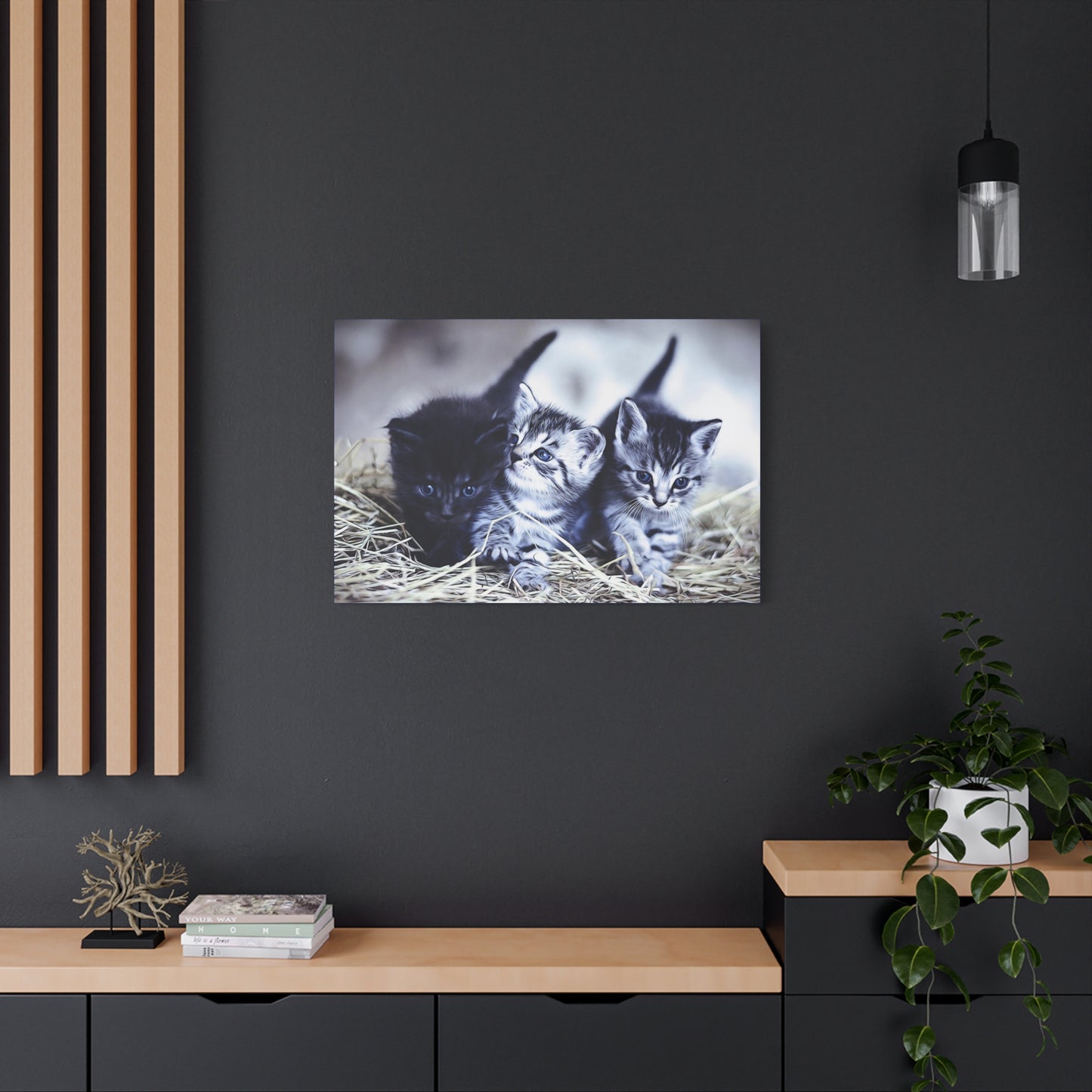 Kitten Matte Canvas, Stretched, 1.25"
